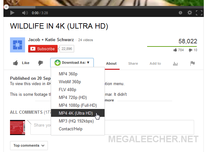 4K Video Clip Downloader In Action