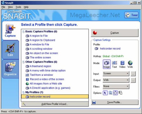 snagit version 9